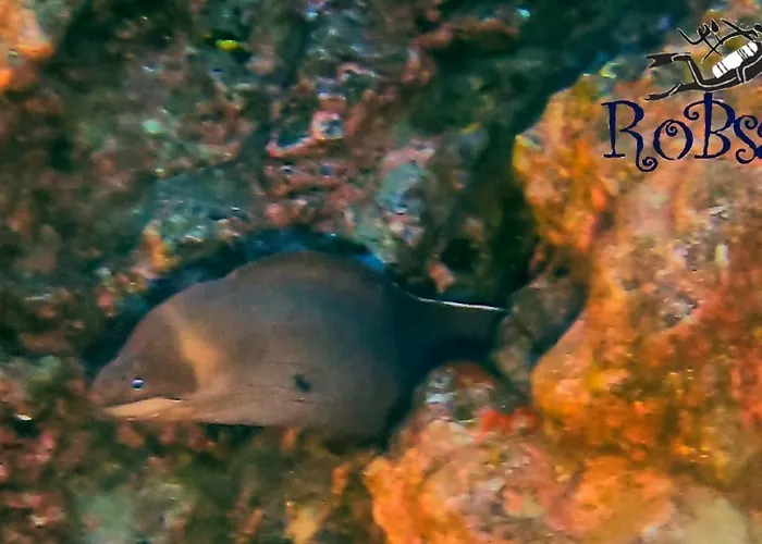 Azul De Eden شقة *