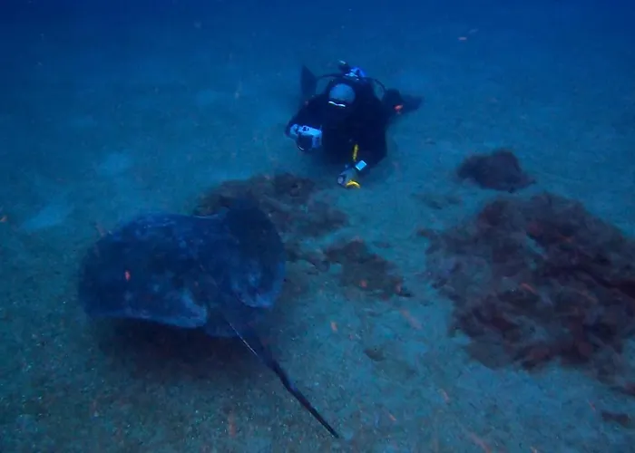 Apartament Azul De Eden Tías