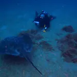 Apartmán Azul De Eden Tías