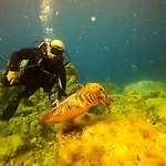 Apartmán Azul De Eden