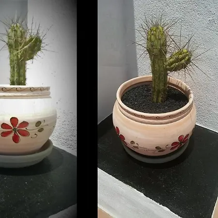 Azul De Eden 公寓 蒂亚斯