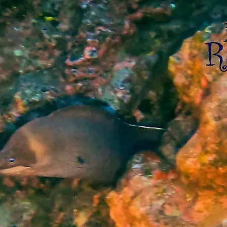 Azul De Eden 公寓 *