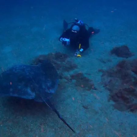 公寓 Azul De Eden 蒂亚斯